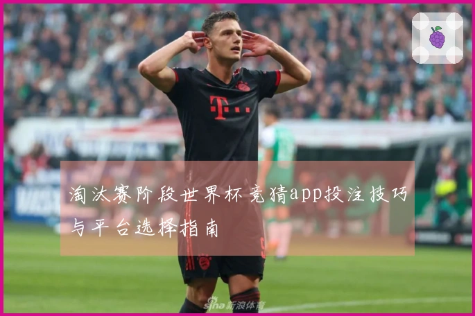 淘汰赛阶段世界杯竞猜app投注技巧与平台选择指南